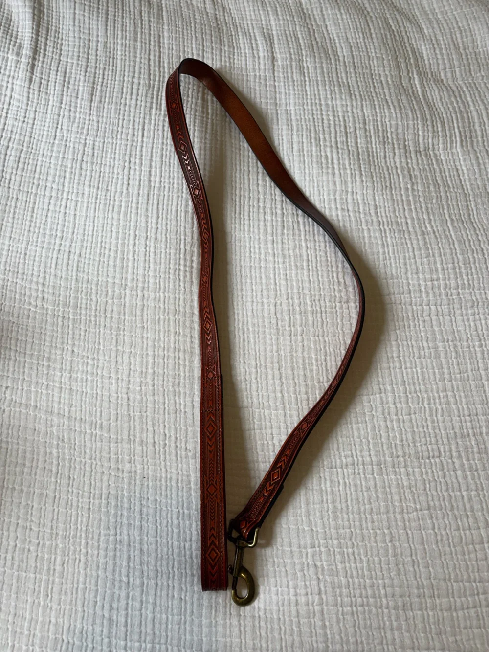 Mutt Nation leather dog leash by Miranda lambert